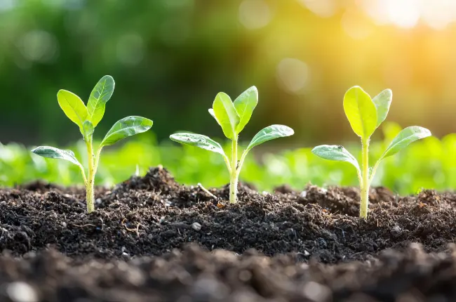 土壌汚染が気になる不動産を所有している方へのサポート